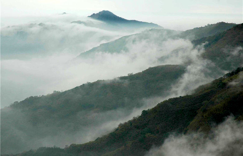 雲霧的「捕捉」研究，是生態科學研究上的重要進程。圖為雪見地區的司馬限山雲霧/ 陳家鴻攝