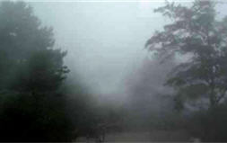 觀霧地區因雲霧所帶來的水平降水相當可 觀，圖左至右為2008年8月3日所做的觀測 紀錄照，可清楚看到約至下午時分，起霧狀 況已相當濃厚／林博雄提供