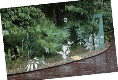 姆魯國家公園的人為設施盡可能融合大自然,圖中是一片 透明玻璃,上面以噴砂的方式嵌入解說內容,完全不會遮 擋住後面的自然景觀