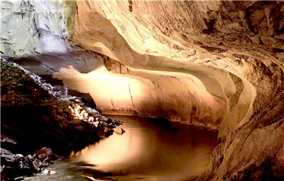 姆魯國家公園的特色之一—鐘乳石洞穴,目前仍持續探勘 中。洞內中為了保護鐘乳石,設有自動感應照明器具