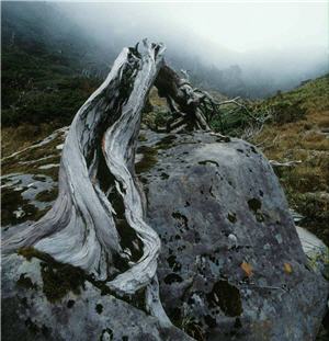 南湖大山的氣勢，安世中亦能精確掌握。