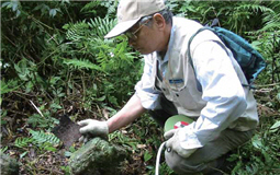 Young surveyed Kunlunao Historic Trail several times, and, because of his surveys, he once had an emotive contact with the sonof Japanese scholar Torii Ryuzo.