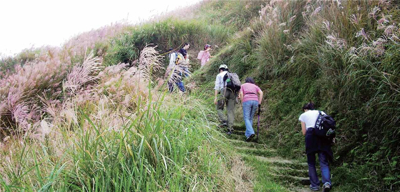 The name“ Fishermen's Trail” quite lives up to its name. In the old days, the trail was used by the fishermen erto transport fish between Jinshan and Shilin./ Provided by YMSNP Headquarters