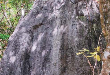 Along Lyushui Trail are scattered with monuments erected by the Japanese./ by Mao-yao Lin