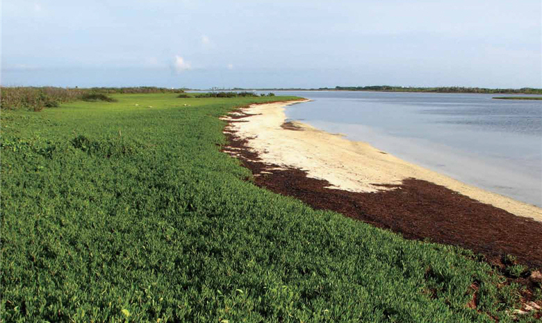 After the establishment of Dongsha Atoll National Park, more and more historical data on the ocean has been collected./ by Shu-kuo Hsu