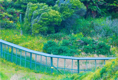 Noah's Ark Program used electric fences to prevent the invasion of foreign species.