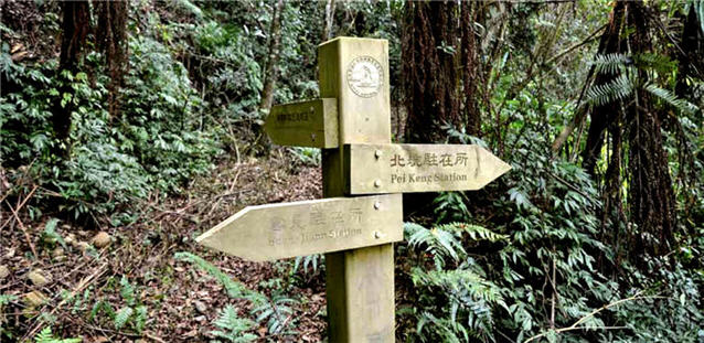 The road sign still stands in the discruped historic trail, pointing to the directions toward the past.
