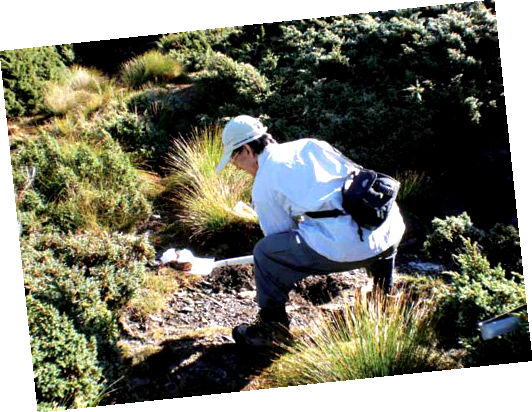 For the disposal of feces, one should dig a cathole 60 m away from the water./ Provided by YSNP Headquarters