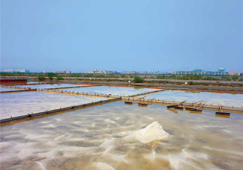 台江內海濕地是臺灣鹽業最早發展區域，也是臺灣重要產鹽區/ 戴進元攝