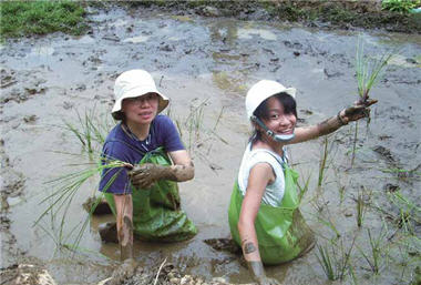 陽管處與臺灣環境生態資訊協會在雍來礦場 跡地辦理生態工作假期,藉由志工參與棲地