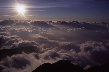 柯金源也曾經拍過「美麗」的意象,但他決心告別那些「美的過去」,改以記錄最真實的影像。