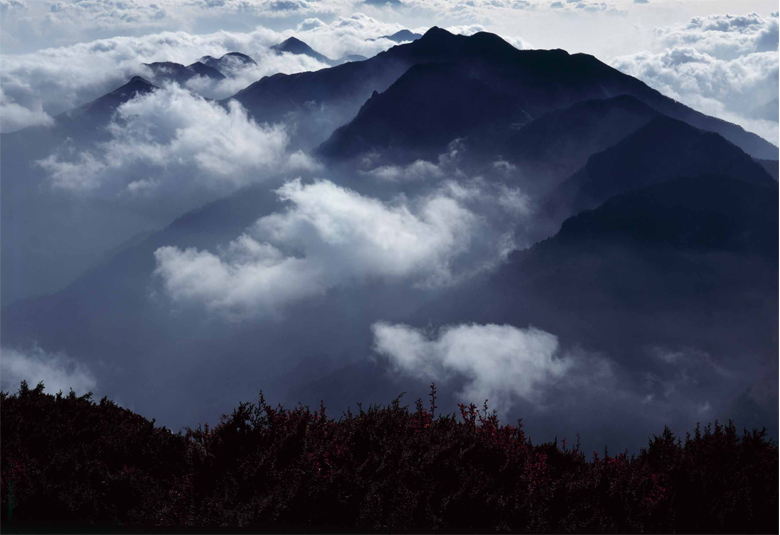 向山問情  追光躡影