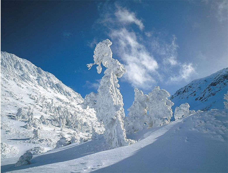 南湖圈谷渾然天成的霧淞景象，彷彿是上蒼流盡了淚水所凝結而成的，其超脫塵俗的美感，令人看得目瞪口呆的。