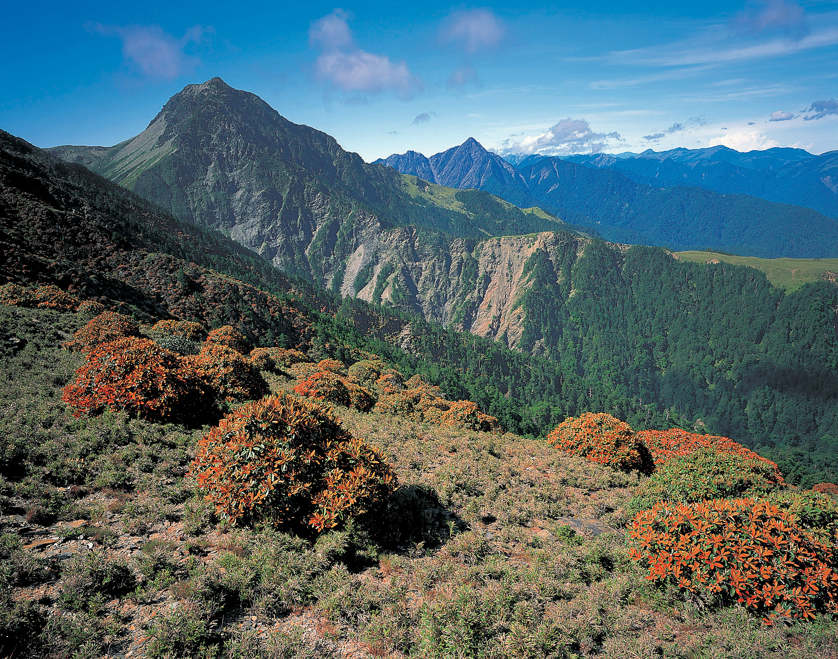 中華民國面額貳千元鈔票的原作。