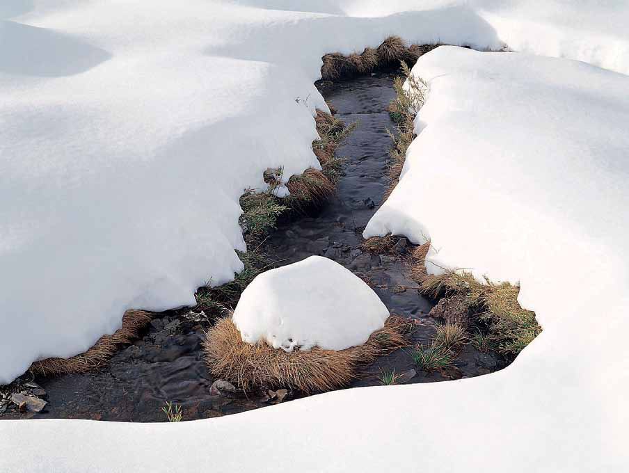 在積雪的山坳裡，一個皓白的雪球，彷如僧人在與時遷逝的流水中打坐，體悟生命的無常。