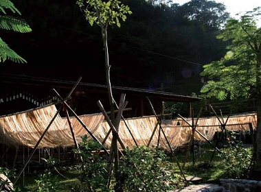 苧麻從栽植到製成要經歷十多層的工 序，圖為最後一道工序—曬麻。/ 野 桐工坊弗耐. 瓦旦攝