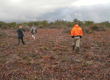 此處正進行移除外來植物的工作。為避免再生，植物砍伐後皆塗上農藥，以致形成一片橘紅色的地景。