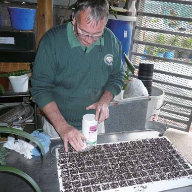 生物多樣性管理分支的Geert 先生正在調配扦插所需之培養土。