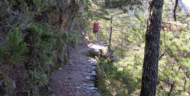 八通關越嶺道整修前原樣。圖為八通關越嶺道西段原樣/ 吳和融攝