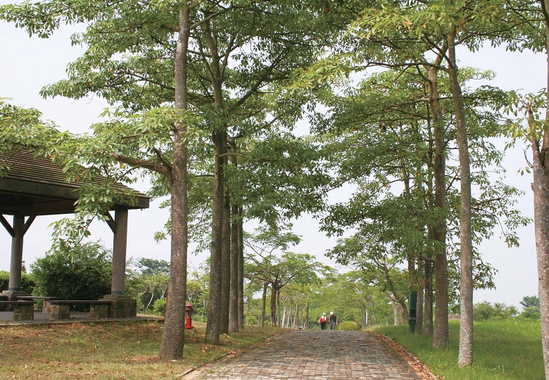 走進都會公園，為忙碌的心靈找到休息的空間/ 臺中都會公園提供