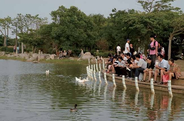 臺中都會公園的湖畔景色宜人，總充滿著休憩賞景的遊客/ 臺中都會公園提供