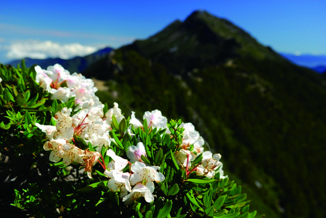 Having Fun in Spring