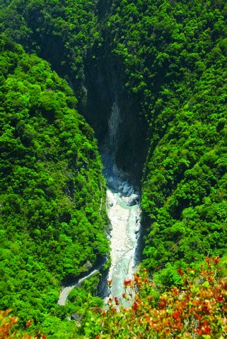 春天的太魯閣峽谷 林茂耀提供
