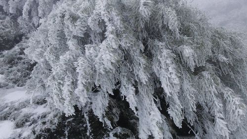 A snow-covered Mt. Hehuan in early spring.