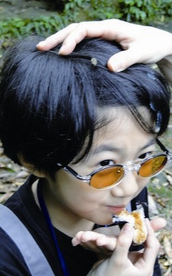 蜜蜂闖入髮中,女兒輕鬆自在地繼續吃飯團,媽媽戰戰兢兢地以手指接蜂送離。 劉達偉提供