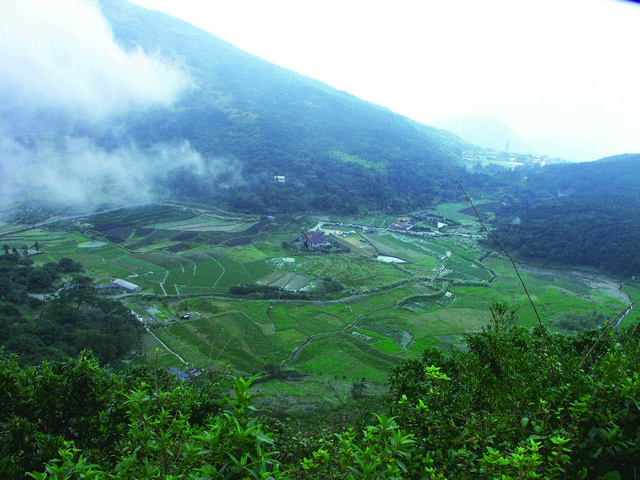 春溫暖，蛇先知