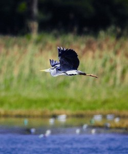 Resting spot on the sea path (Chiu Lu, Su-Lan)