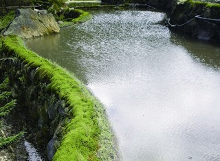 八煙水田景觀 生態工法基金會提供