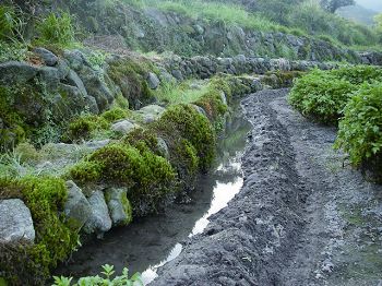 「石砌水圳」貫穿是八煙聚落的命脈 呂慧穎攝