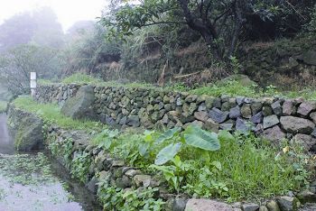 砌石工法是八煙的生態智慧,不但兼顧功能與生態性,更符合就地取材、在地使用的減碳原則。 吳銀水攝