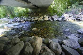 道路採高架方式保留原始地貌與棲地