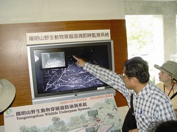 動物穿越涵洞監測系統：即時版（母畫面）及精彩歷史鏡頭（子畫面）亦成為陽明山國家公園遊客中心優質的環境教育解說教材