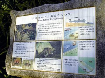 穿越式蟹類通道解說石板 蘇維翎攝