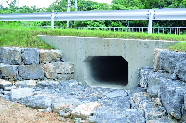 穿越式的動物廊道 游崇瑋攝