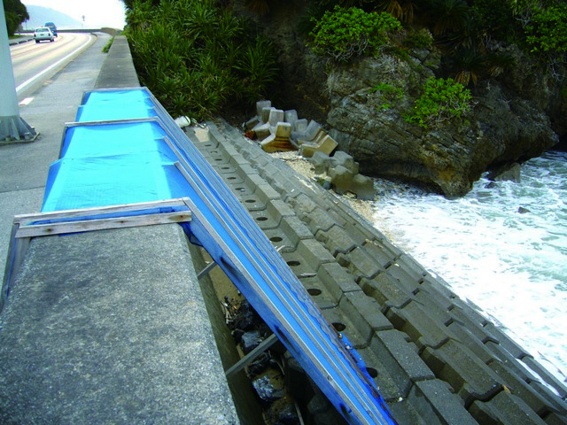 靠海側提供蟹類的爬行網 蘇維翎攝