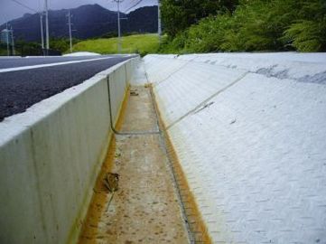 不對稱式水溝斜坡，讓蟹類不致於受困 蘇維翎攝