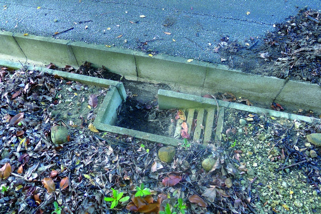 動物逃生斜坡　劉威廷攝