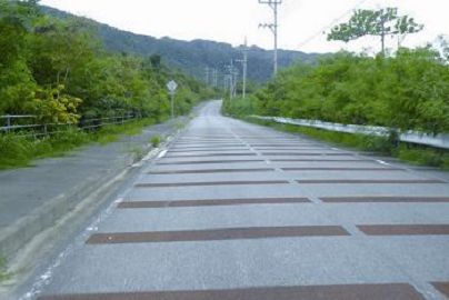 跳動路面，提醒用路人此處為西表山貓出沒之處，要減速慢行 劉威廷攝