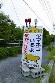 動物穿越警示 劉威廷攝