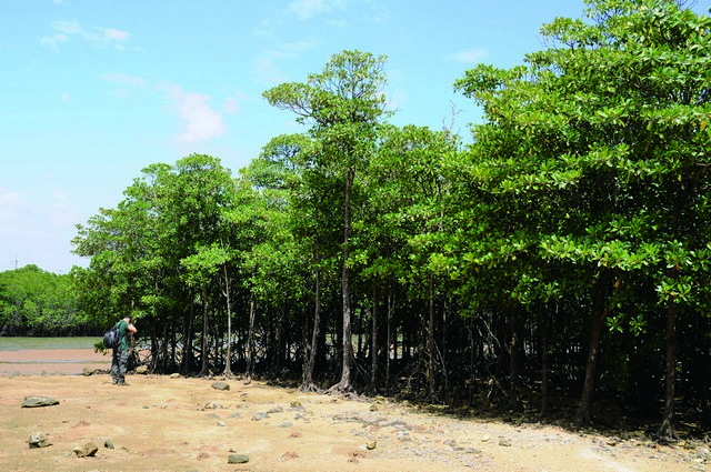 友善工程延伸知識