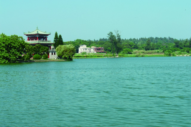 古崗湖是金門水獺出沒的湖泊之一 陳淑儀攝