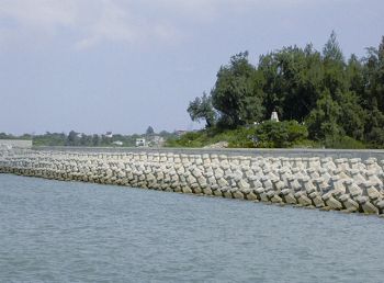 天然海岸消失嚴重衝擊金門海岸生物多樣性 李玲玲攝