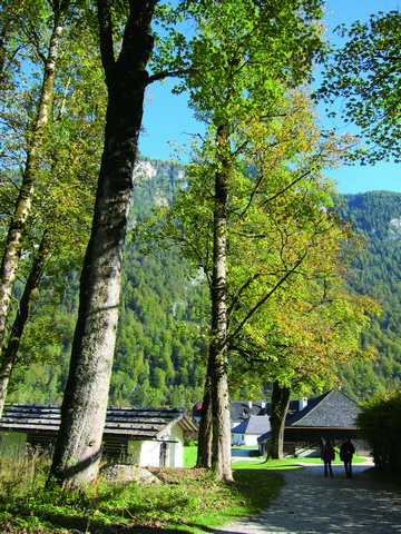 散居在國家公園境內的原住戶 黃淑貞攝