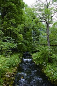 沙勒特溪潺潺雪水穿過萬年的冰河沉積物，注流入國王湖 黃靖銘攝