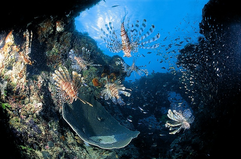 夏日墾丁海景 蔡永春攝