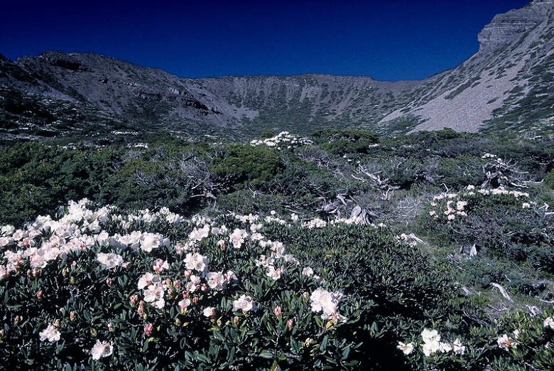 Summer Sun at Shei-Pa